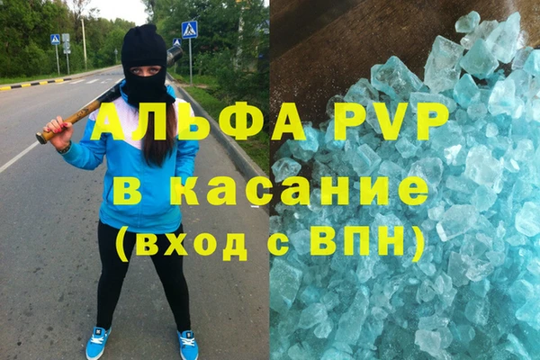 ГАЛЛЮЦИНОГЕННЫЕ ГРИБЫ Богданович